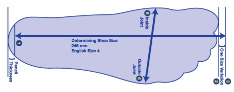 The Length Of The Shoe